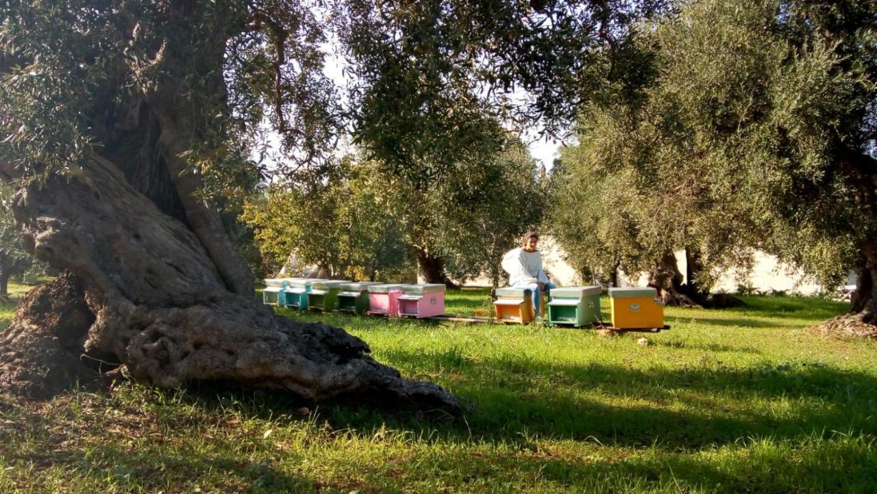 Vivere Ostuni Εξωτερικό φωτογραφία